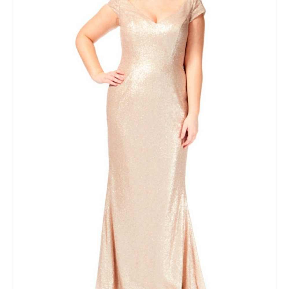 BariJay fit and flare sequin gown size 18